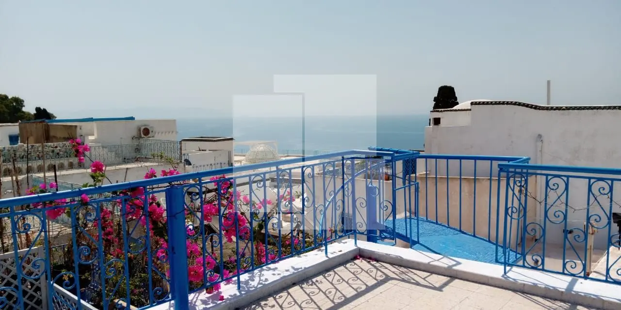 Appartement S+2 meublé, Sidi Bou Saïd